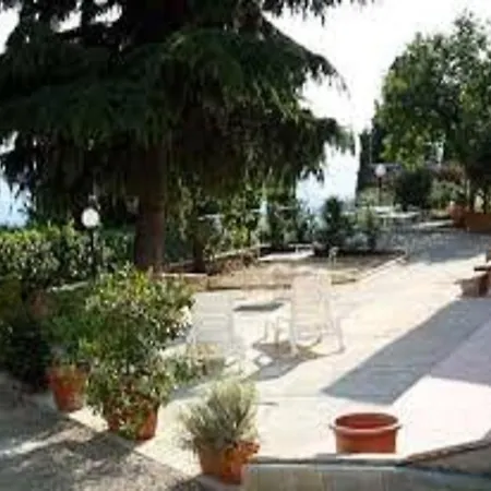 Il Pino *