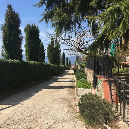 Il Pino